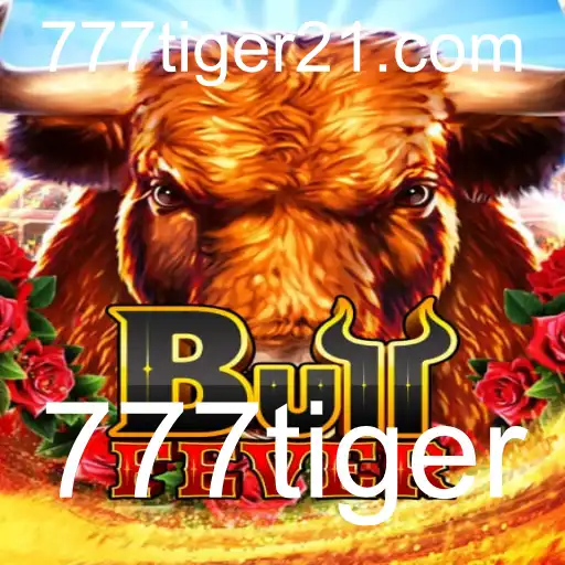Explorando BullFever: Um Mergulho no Empolgante Mundo dos Jogos de Azar
